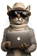 Web design and branding by Pulsar Studio – Bad Kreuznach